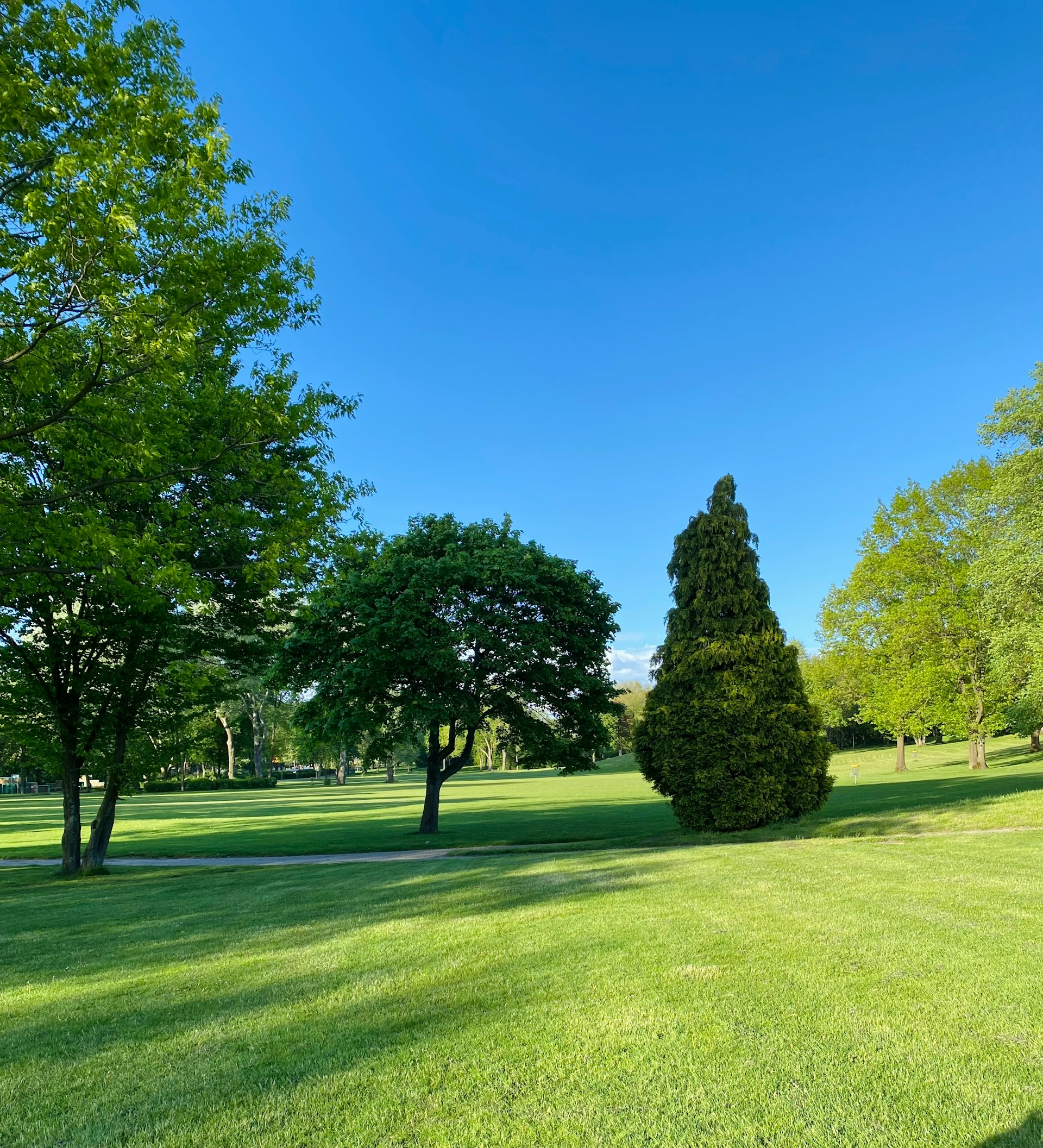 Lawn work
